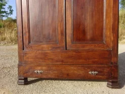 Pamono Louis Philippe Walnut Wardrobe, 1890s Hot