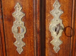 Pamono Louis Philippe Walnut Wardrobe, 1890s Hot