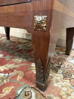 Pamono Marquetry Display Case in Wood Hot