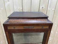 Pamono Marquetry Display Case in Wood Hot