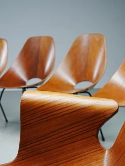 Pamono Medea Dining Chairs by Vittorio Nobile, 1950s, Set of 6 Clearance