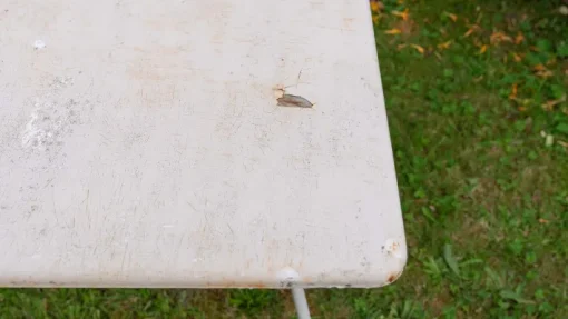 Pamono Metal Garden Table with Newspaper Shelf, 1950s Sale