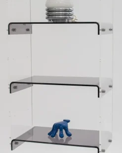 Pamono Methacrylate Shelving Unit by Michael Dumas for Roche Bobois, 1970s, Set of 2