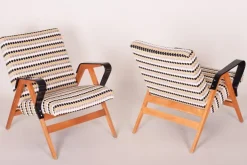Pamono Mid-Century Czech Armchairs from Tatra Pravenec, 1950s, Set of 2 Hot