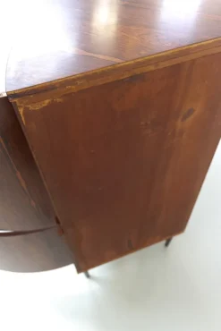 Pamono Mid-Century Danish Rosewood Corner Cabinet with Curved Front, 1960s New