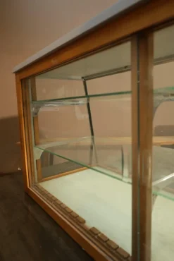 Pamono Mid-Century Display Case, 1950s Online