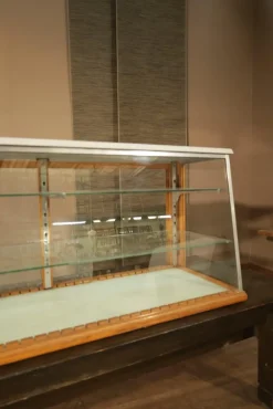 Pamono Mid-Century Display Case, 1950s Online