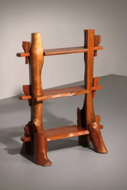 Pamono Mid-Century French Wooden Bookcase, 1960s