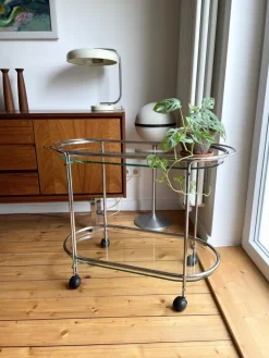 Pamono Mid-Century Italian Riki T52 Serving Trolley from Gallotti & Radice New