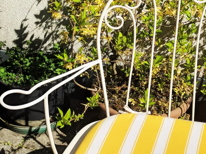 Pamono Mid-Century Modern Austrian Wrought Iron Garden Seating Set by Karasek & Co, 1950s, Set of 2 Online