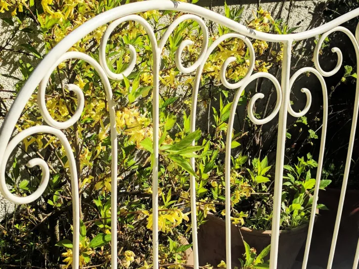 Pamono Mid-Century Modern Austrian Wrought Iron Garden Seating Set by Karasek & Co, 1950s, Set of 2 Online