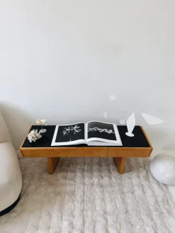 Pamono Mid-Century Modern Console Table by Jitona Soběslav, 1960s Online