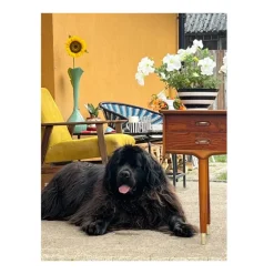 Pamono Midcentury Modern Dressing Table, Norway, 1970 Clearance