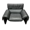 Pamono Model 2011/01 Armchair from de Sede Clearance