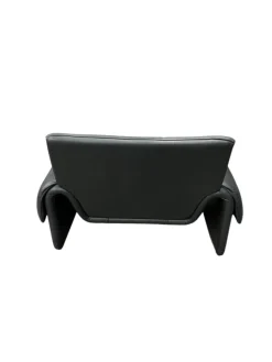 Pamono Model 2011/01 Armchair from de Sede Clearance