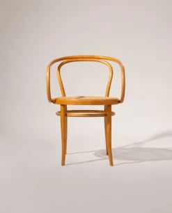 Pamono Model 209 Chairs by Michael Thonet, 1960s, Set of 4 Hot