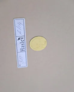 Pamono Model 517 Flap Table in Oak with White Laminate Top Hot