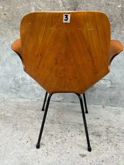 Pamono Model Medea Chairs with Armrest by Vittorio Nobili for Medea, 1950s, Set of 6