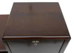 Pamono Modern Model D Drink Cabinet from Thonet, 1920s Clearance