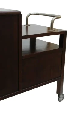 Pamono Modern Model D Drink Cabinet from Thonet, 1920s Clearance