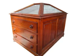 Pamono Museum Display Case, 1900s Clearance