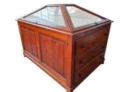 Pamono Museum Display Case, 1900s Clearance