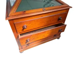 Pamono Museum Display Case, 1900s Clearance