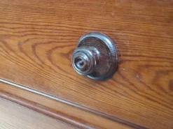 Pamono Museum Display Case, 1900s Clearance