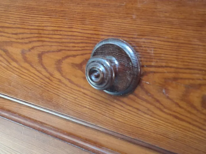 Pamono Museum Display Case, 1900s Clearance