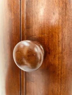 Pamono Napoleon III Mahogany and Veneer Bedside Table, 19th Century Best