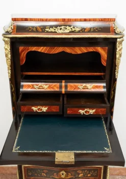 Pamono Napoleon III Secretaire in Exotic Fine Woods with Gilt Bronze Applications, France, 19th Century Clearance