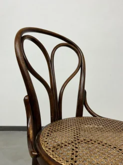 Pamono Nr.31 Dining Chair from Fischel, 1890s