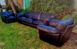 Pamono Poppy Sofa and Armchairs by Tito Agnoli for Poltrona Frau, 1974, Set of 3 Hot