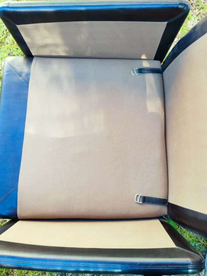 Pamono Poppy Sofa and Armchairs by Tito Agnoli for Poltrona Frau, 1974, Set of 3 Hot