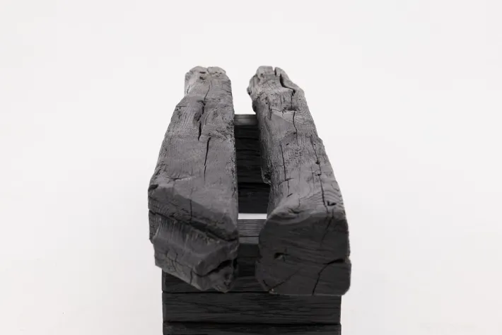 Pamono Rustic Blackened Wood Garden Bench by Logniture Best