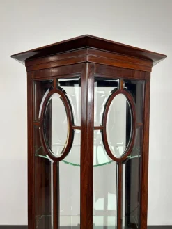 Pamono Secession Showcase, 1920s Discount