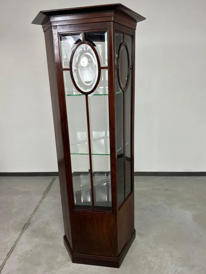 Pamono Secession Showcase, 1920s Discount