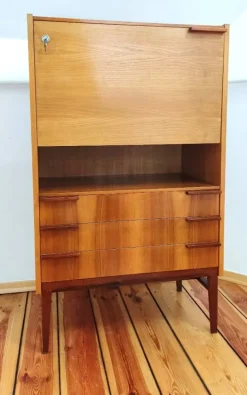 Pamono Secretaire attributed to Frantisek Mezulanik for Up Závody, Former Czechoslovakia, 1960s Sale