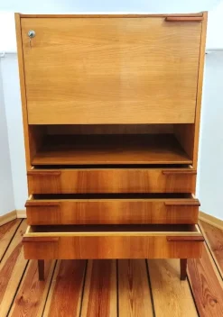Pamono Secretaire attributed to Frantisek Mezulanik for Up Závody, Former Czechoslovakia, 1960s Sale