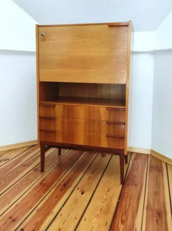 Pamono Secretaire attributed to Frantisek Mezulanik for Up Závody, Former Czechoslovakia, 1960s Sale