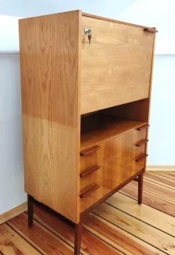 Pamono Secretaire attributed to Frantisek Mezulanik for Up Závody, Former Czechoslovakia, 1960s Sale