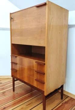 Pamono Secretaire attributed to Frantisek Mezulanik for Up Závody, Former Czechoslovakia, 1960s Sale