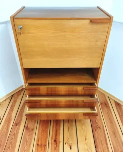 Pamono Secretaire attributed to Frantisek Mezulanik for Up Závody, Former Czechoslovakia, 1960s Sale