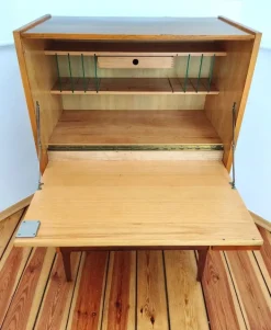 Pamono Secretaire attributed to Frantisek Mezulanik for Up Závody, Former Czechoslovakia, 1960s Sale