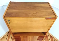 Pamono Secretaire attributed to Frantisek Mezulanik for Up Závody, Former Czechoslovakia, 1960s Sale