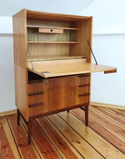 Pamono Secretaire attributed to Frantisek Mezulanik for Up Závody, Former Czechoslovakia, 1960s Sale