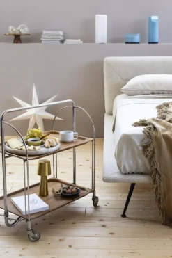 Pamono Service Trolley from Gerlinol, Germany, 1950s