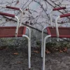 Pamono Set of Chairs, 1950s Discount