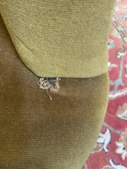 Pamono Set of English Sofa and Basket Armchair Best