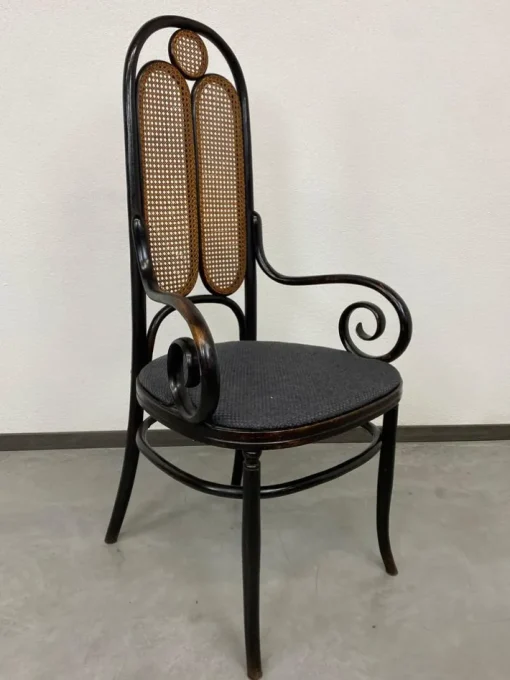 Pamono Set of Secession Armchairs from Thonet, 1890s Hot